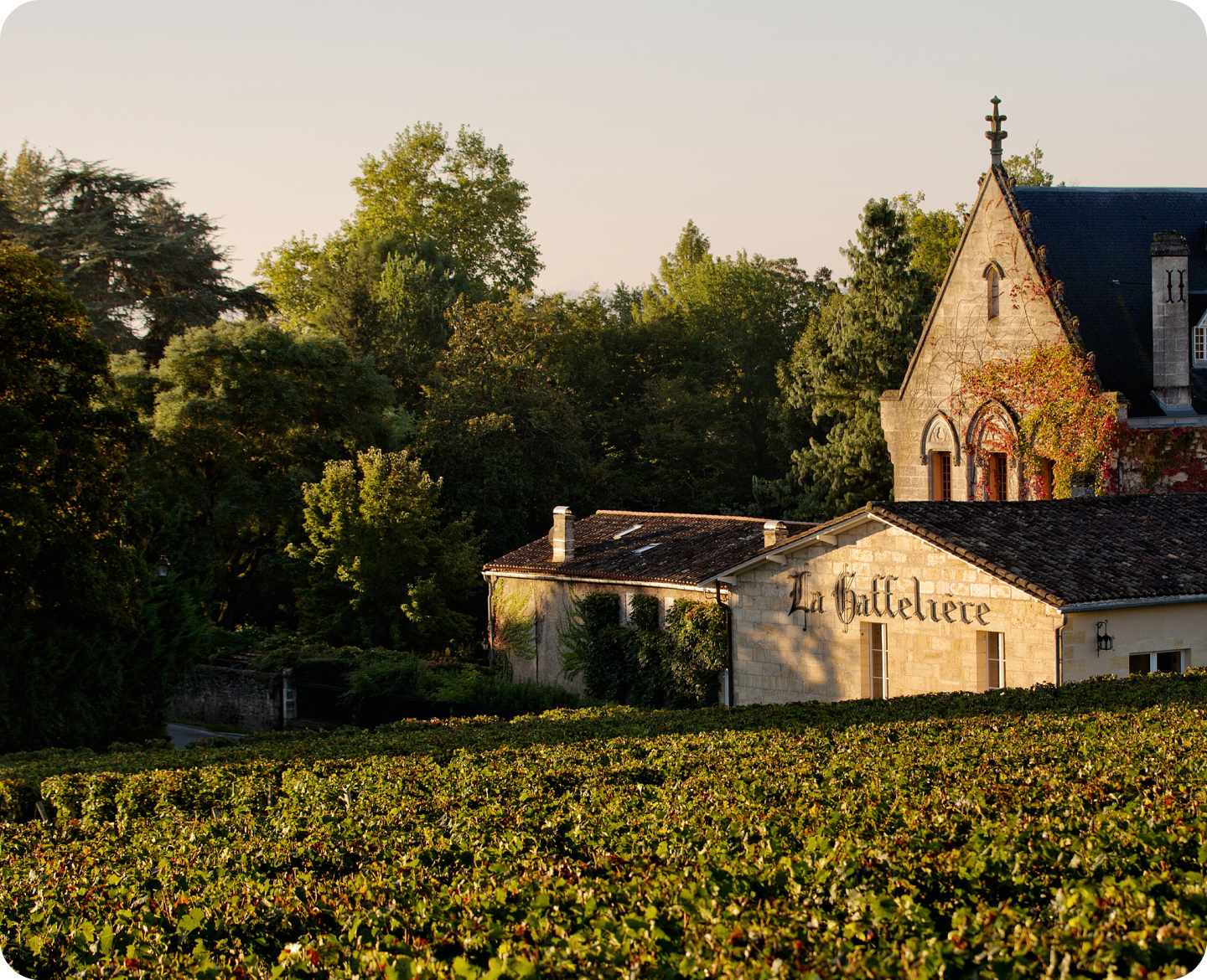 Château la gaffelière